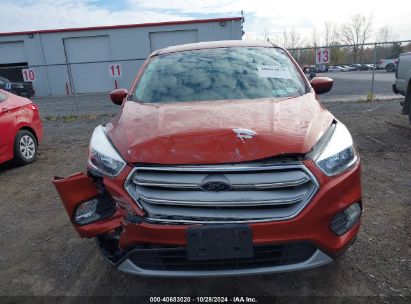 Lot #2995297215 2019 FORD ESCAPE SE