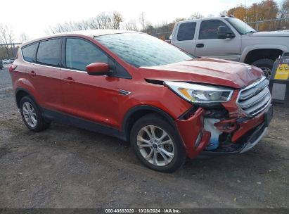 Lot #2995297215 2019 FORD ESCAPE SE