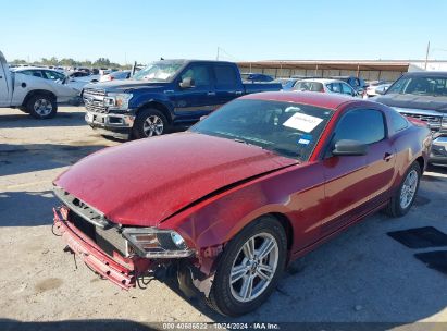 Lot #3035085596 2013 FORD MUSTANG V6