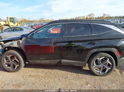 Lot #3056472948 2023 HYUNDAI TUCSON HYBRID LIMITED