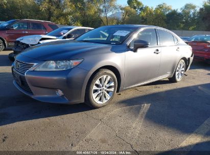 Lot #3050085563 2013 LEXUS ES 300H