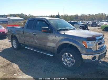 Lot #2995297111 2013 FORD F-150 XLT