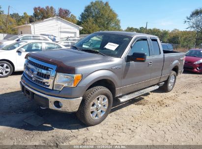 Lot #2995297111 2013 FORD F-150 XLT