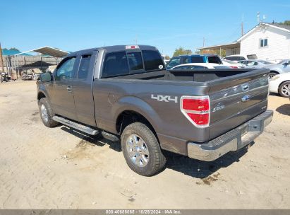 Lot #2995297111 2013 FORD F-150 XLT