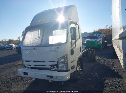 Lot #2995296857 2009 ISUZU NPR