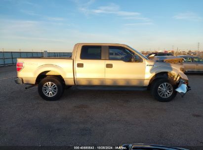 Lot #3047412071 2009 FORD F-150 FX4/KING RANCH/LARIAT/PLATINUM/XL/XLT