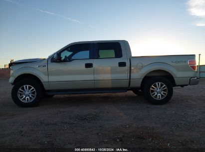 Lot #3047412071 2009 FORD F-150 FX4/KING RANCH/LARIAT/PLATINUM/XL/XLT