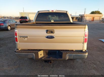 Lot #3047412071 2009 FORD F-150 FX4/KING RANCH/LARIAT/PLATINUM/XL/XLT