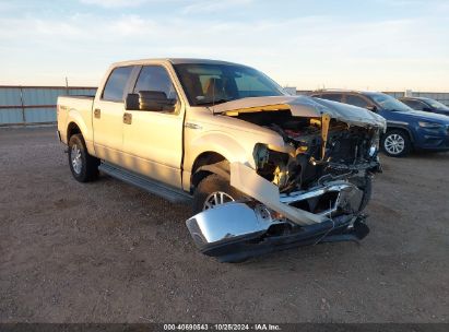 Lot #3047412071 2009 FORD F-150 FX4/KING RANCH/LARIAT/PLATINUM/XL/XLT