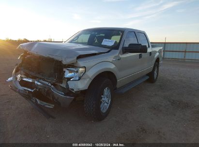 Lot #3047412071 2009 FORD F-150 FX4/KING RANCH/LARIAT/PLATINUM/XL/XLT