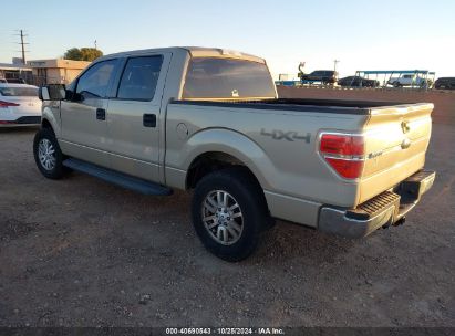 Lot #3047412071 2009 FORD F-150 FX4/KING RANCH/LARIAT/PLATINUM/XL/XLT