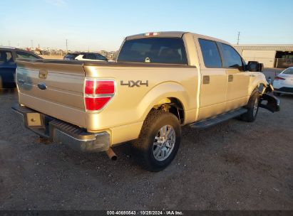 Lot #3047412071 2009 FORD F-150 FX4/KING RANCH/LARIAT/PLATINUM/XL/XLT