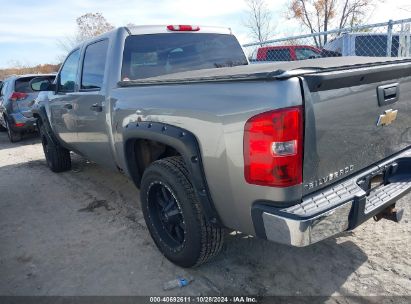 Lot #2991586759 2007 CHEVROLET SILVERADO 1500 WORK TRUCK