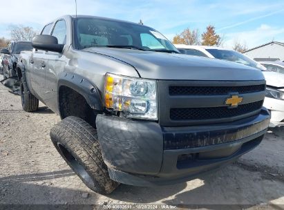 Lot #2991586759 2007 CHEVROLET SILVERADO 1500 WORK TRUCK