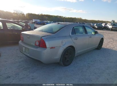 Lot #3005348018 2011 CHEVROLET MALIBU LS