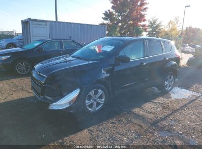 Lot #2992822796 2015 FORD ESCAPE SE