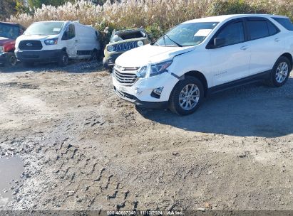 Lot #2990347653 2020 CHEVROLET EQUINOX AWD LS