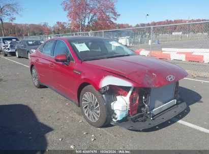 Lot #2992822766 2024 HYUNDAI SONATA HYBRID LIMITED