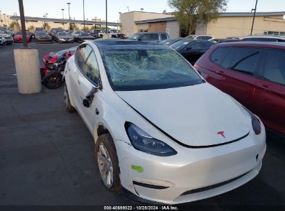 Lot #2992820684 2023 TESLA MODEL Y AWD/LONG RANGE DUAL MOTOR ALL-WHEEL DRIVE