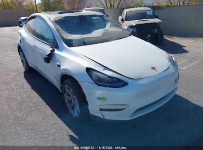 Lot #2992820684 2023 TESLA MODEL Y AWD/LONG RANGE DUAL MOTOR ALL-WHEEL DRIVE