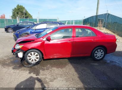 Lot #2992822656 2009 TOYOTA COROLLA LE