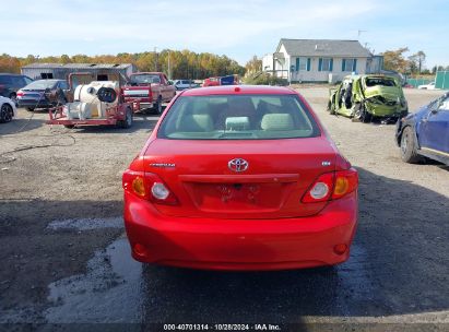 Lot #2992822656 2009 TOYOTA COROLLA LE