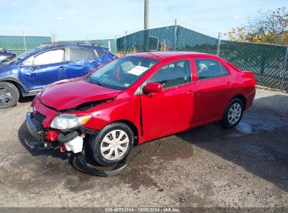 Lot #2992822656 2009 TOYOTA COROLLA LE