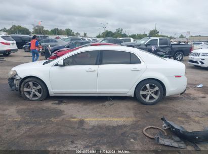 Lot #3035085321 2011 CHEVROLET MALIBU 1LT