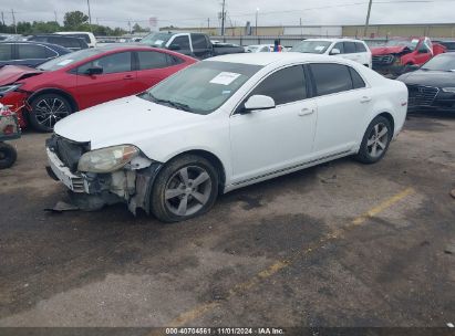 Lot #3035085321 2011 CHEVROLET MALIBU 1LT