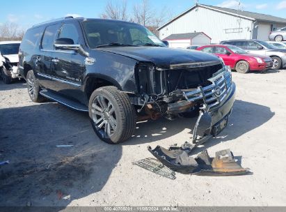 Lot #2995296886 2009 CADILLAC ESCALADE ESV STANDARD