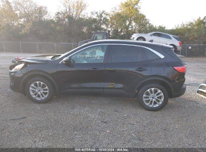 Lot #2995296869 2020 FORD ESCAPE SE