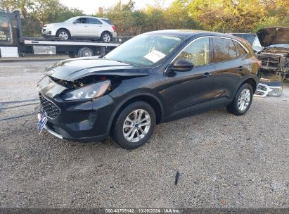 Lot #2995296869 2020 FORD ESCAPE SE