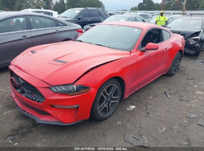 Lot #3035075097 2020 FORD MUSTANG