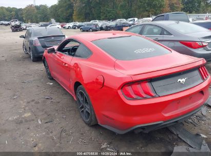 Lot #3035075097 2020 FORD MUSTANG