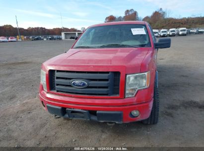 Lot #3007840363 2010 FORD F150 SUPER CAB