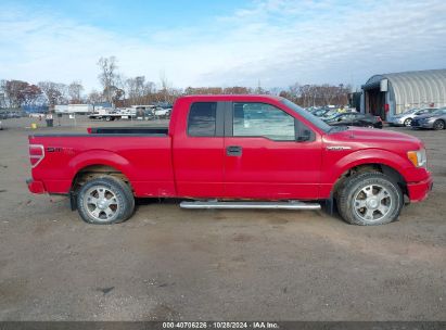 Lot #3007840363 2010 FORD F150 SUPER CAB