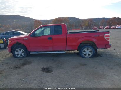 Lot #3007840363 2010 FORD F150 SUPER CAB