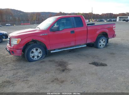 Lot #3007840363 2010 FORD F150 SUPER CAB