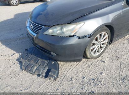 Lot #2995296663 2007 LEXUS ES 350