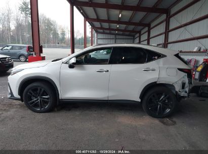 Lot #3021955717 2024 LEXUS NX 450H+ LUXURY