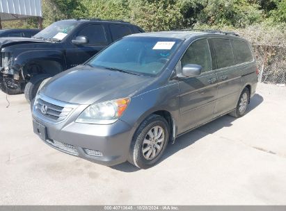 Lot #2992829119 2009 HONDA ODYSSEY EX-L