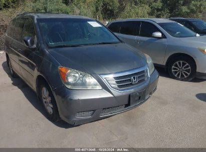 Lot #2992829119 2009 HONDA ODYSSEY EX-L