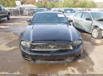 Lot #2995296203 2014 FORD MUSTANG V6