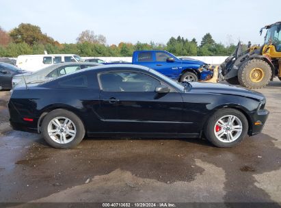 Lot #2995296203 2014 FORD MUSTANG V6