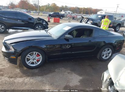 Lot #2995296203 2014 FORD MUSTANG V6