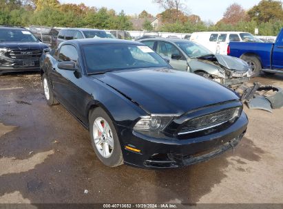 Lot #2995296203 2014 FORD MUSTANG V6