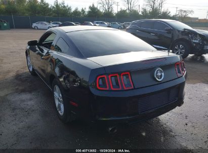 Lot #2995296203 2014 FORD MUSTANG V6