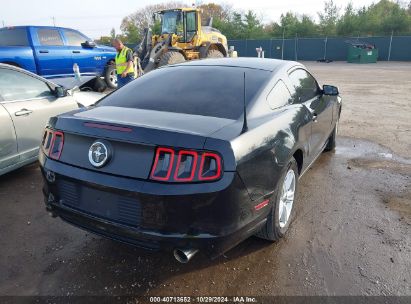 Lot #2995296203 2014 FORD MUSTANG V6