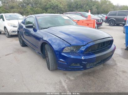 Lot #2992829101 2014 FORD MUSTANG V6