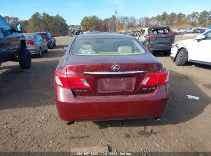 Lot #2995296201 2008 LEXUS ES 350